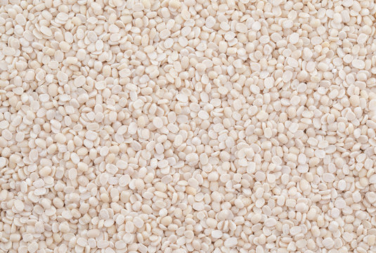 Urad Dal or Black Gram Split Pulse Unpolished Without Cover Also Know as Vigna Mungo, Black Gram, Urad Bean, Minapa Pappu, Mungo Bean, Black Matpe Bean or Split Black Gram Seeds.