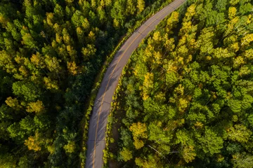 Foto op Plexiglas Driving road in autumnal forest © lzf