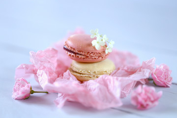  Macaron cake set. Macarons in pastel colors in a pink crumpled paper on a light blue wooden background. delicious dessert