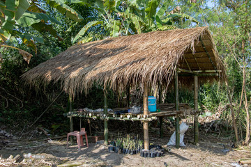 Shed in tropical nature. A shelter surrounded by green palm trees in the jungle.