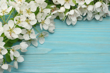 Naklejka na ściany i meble Spring background with white flowers blossoms on blue wooden background. top view