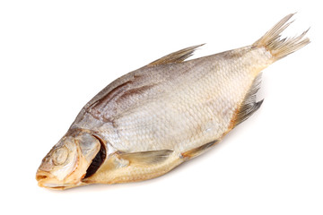 dried fish isolated on white background. Beer brewery concept. Beer background