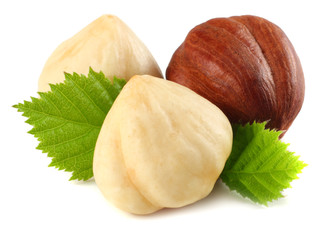 hazelnuts with leaves isolated on white background. macro