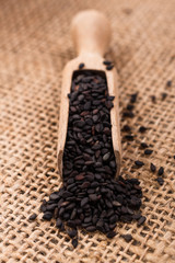 fresh sesame seeds on a rustic background