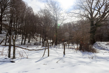 pathway mountain landscape with snow