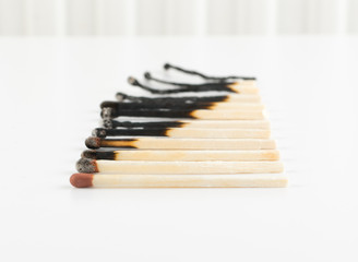 Burned Matches or Match Sticks