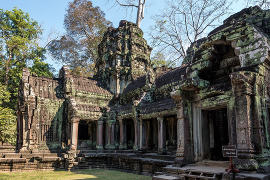 Kambodscha - Angkor - Ta Prohm