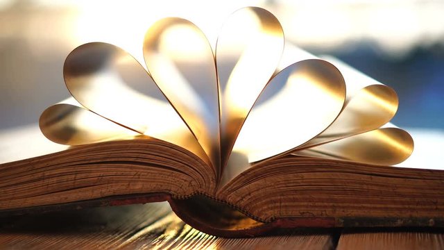 Opened book with pages in shape of a heart close up on sunset background