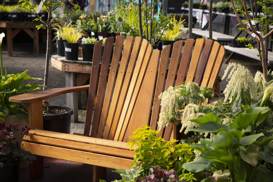 Sunlit view of teak adirondack bench on display in retail nursery, surrounded by potted plants and garden d&eacute;cor