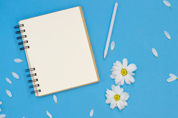 Blank spiral notepad and chamomiles blossoms on blue background, space for text, copy space
