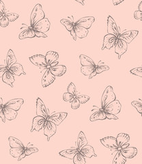 Butterfly. Vector drawing