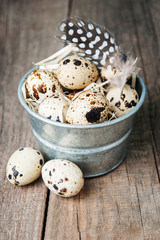 quail eggs in a metal bowl