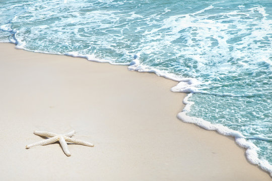 Starfish on the beach sand and blur sea background, Concept summertime on beach