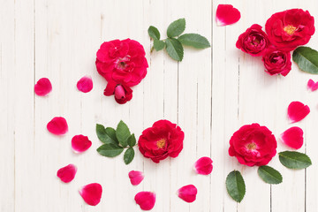 red roses on white wooden background