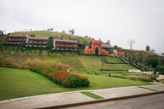 Greek garden