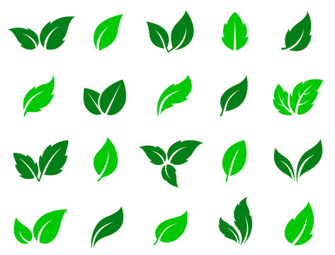 set of green leaves icons