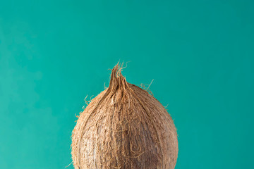 Tropical Background Ripe Coconut on Green Backdrop. Healthy Food Lifestyle Vitamins Summer Travel Vacation Concept. Skin Care Spa Wellness. Poster Streamer Template with Copy Space