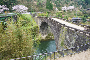 Fototapeta na wymiar 霊台橋と満開の桜（熊本県美里町）