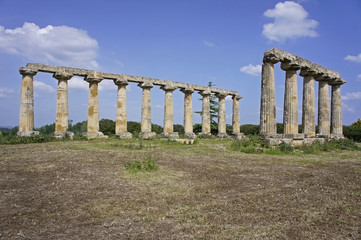 Italy, Basilicata, Metaponte, Hera Temple, Doric Temple