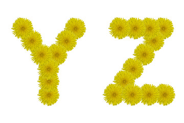 Floral letters Y, Z isolated on white background
