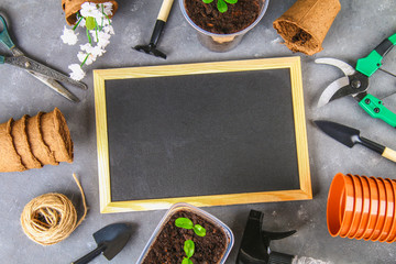 Garden tools and pots on a gray concrete background. Chalk board. Top view, copy space.