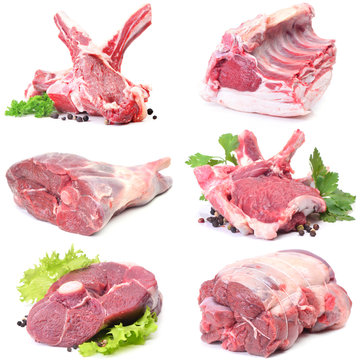 Fresh meat mutton
