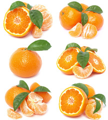 Fototapeta na wymiar Fruit mandarin