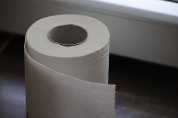 toilet paper roll