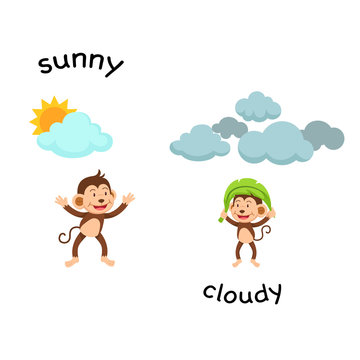 Opposite sunny and cloud vector illustration