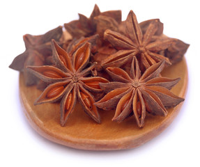 Aromatic star anise