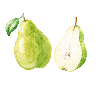 Hand drawn watercolor pears isolated on white background. Green fruits with leaf and cut half. Food illustration.