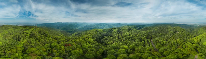 Foto auf Acrylglas 360° Luftbild Panorama Pfälzer Wald © Mathias Weil