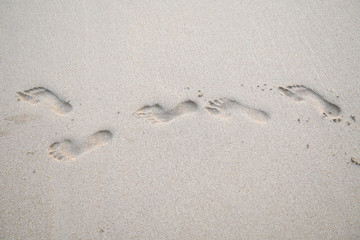 Foot print in the sand, beach, sand and foot print background