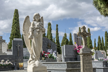 primer plano de estatua de ángel en el cementerio