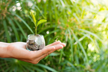 Plant growing from money (coins) in the glass jar held by a man's hands - business and financial...