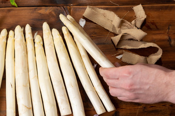 Farmer holding fresh tasty white asparagus in hands, seasonal vegetable, new harvest, ready to cook