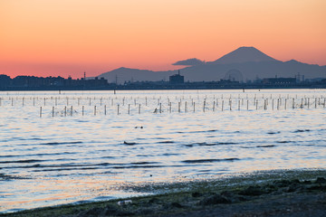 Obraz premium Nice view of Tokyo sunset , Tokyo bay at Funabashi area and Mt. Fuji in winter season