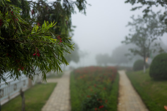 Foggy landscape in Sapa, Vietnam.