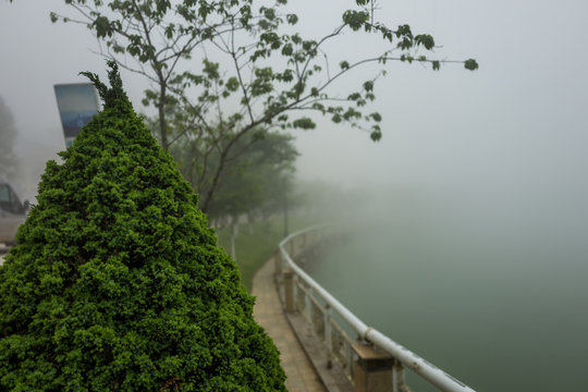 Foggy landscape in Sapa, Vietnam.