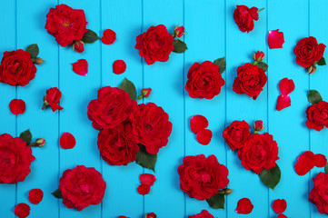 Red roses flowers on blue wood.