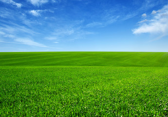 green field and clouds