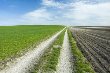 Fototapeta na wymiar A long road, meadow and plowed field