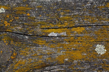 Naklejka premium Abstract grunge background
