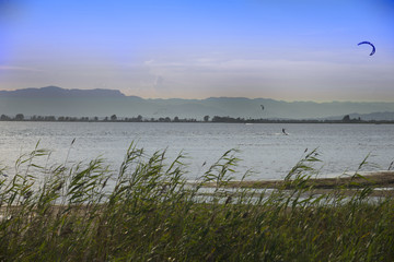 Summer day in the Ebro Delta Natural Park. Catalonia, Spain