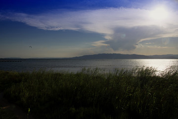 Ebro Delta Natural Park, Catalonia