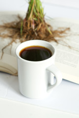 read  learn study knowledge  growth intellect  education 