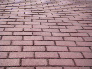 Cobbled pavement path. The path is paved with gray brick.