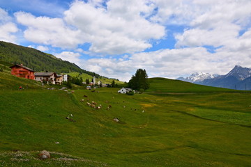 Fototapeta na wymiar Swiss Alps-view of the Ftan