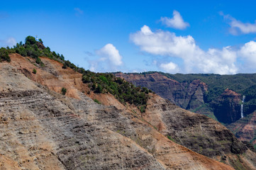 Obraz premium SONY DSC