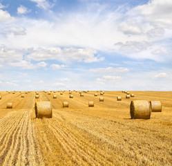 Fototapeta na wymiar Field with straw bales after harvest on a background cloudy sky